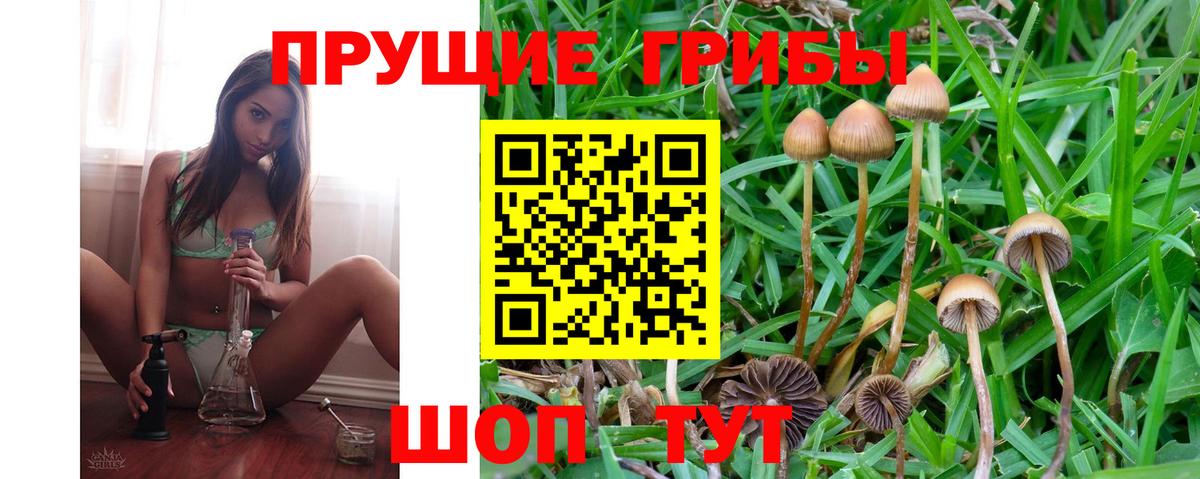 Псилоцибиновые грибы GOLDEN TEACHER Сарапул